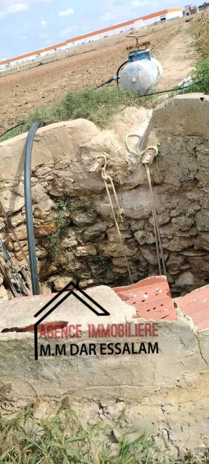 terrain contenant plusieurs arbres à vendre 