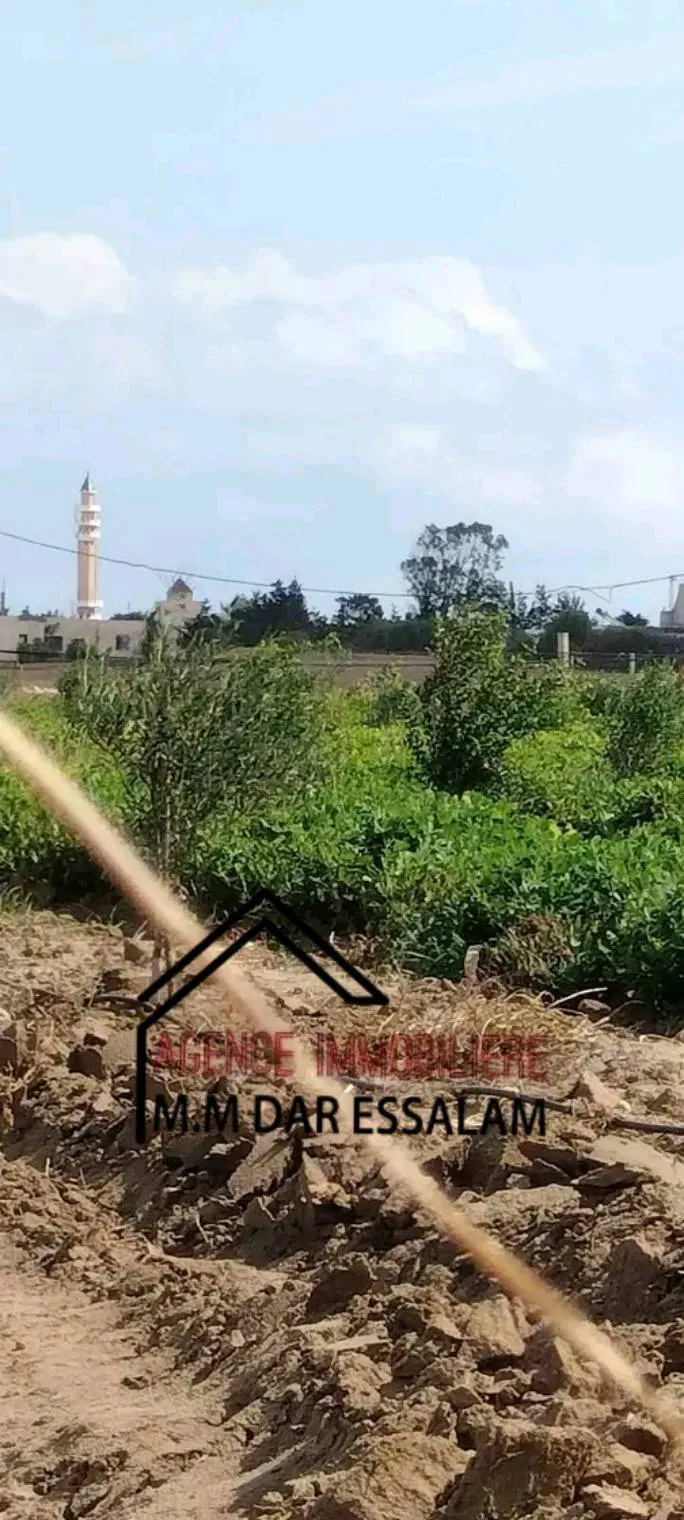 terrain contenant plusieurs arbres à vendre 