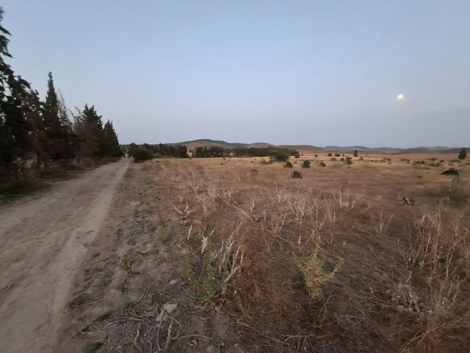 terrain agricole de 2 hectares avec façade de 100 m sur route goudronnée, accessible, papiers en règle
