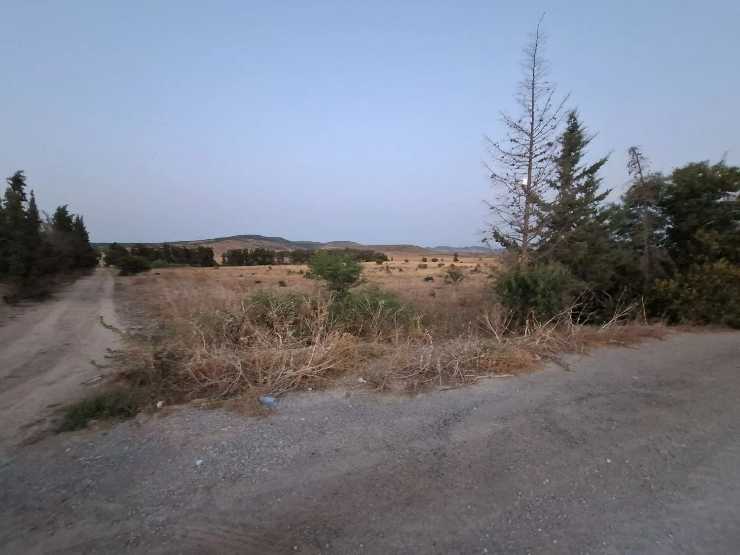 terrain agricole de 2 hectares avec façade de 100 m sur route goudronnée, accessible, papiers en règle