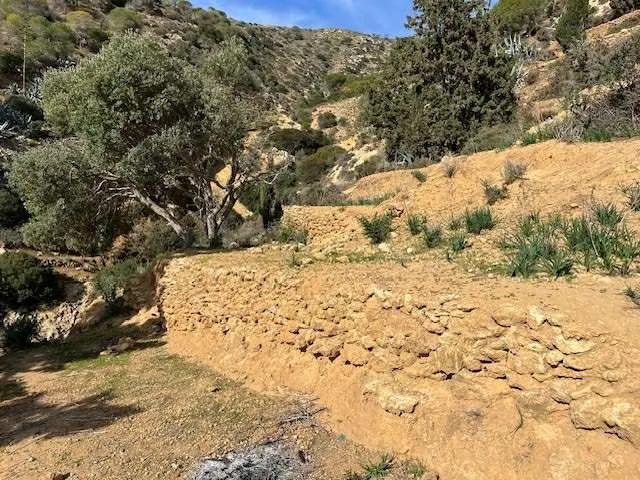 SURPLOMBE LE VIEUX PORT DE GHAR EL MELEH
