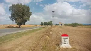 terrain 1 hectare industriel commercial borj amri RN5 à 20 km de tunis
