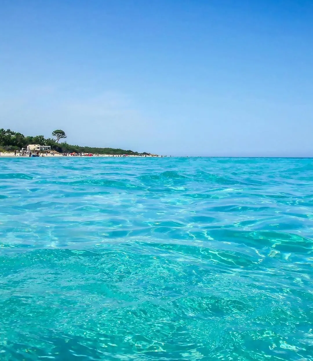 Terrain à partir de 1000 m² Pour Les investisseurs