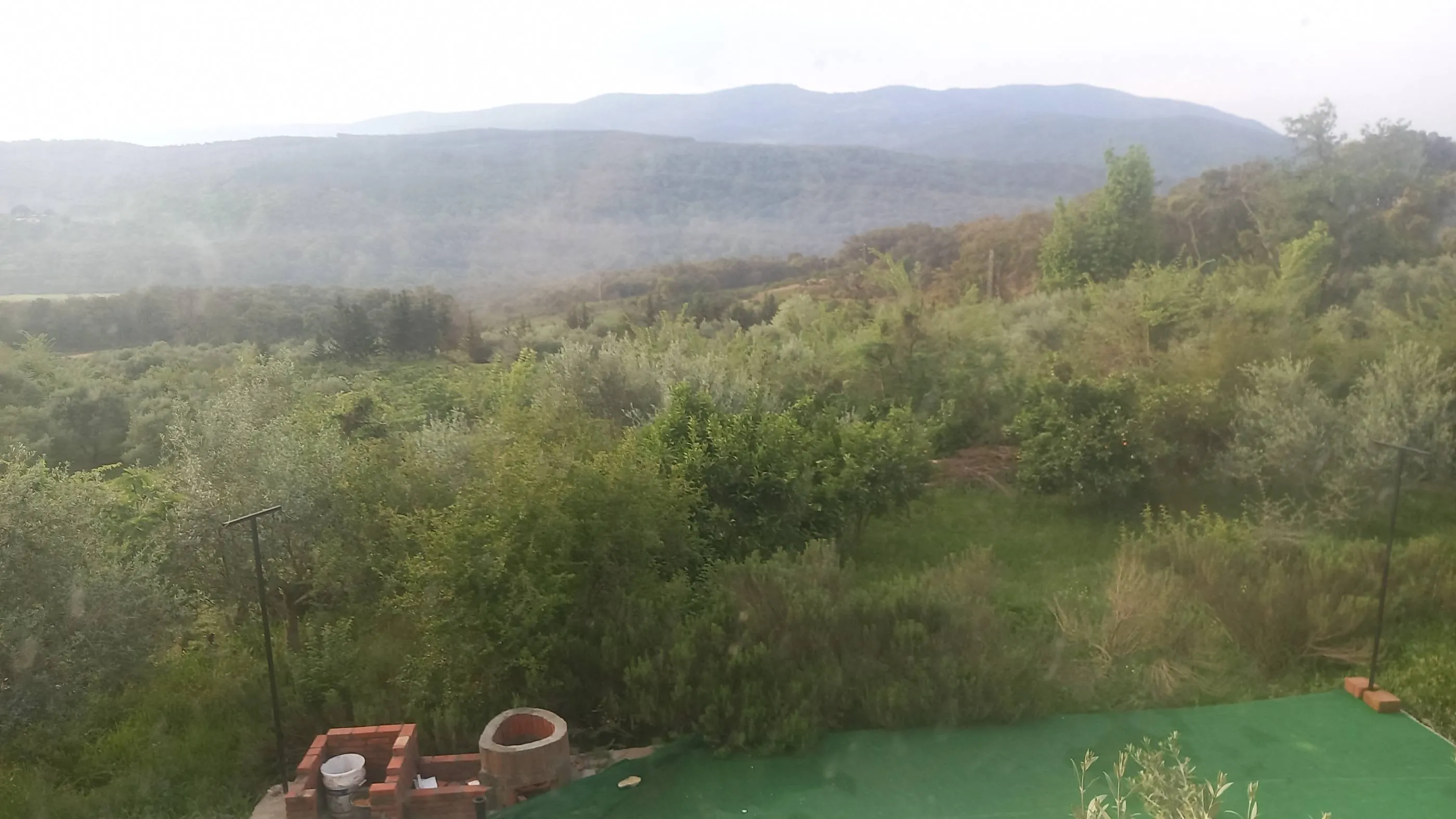 Espace pollyvallent commercial