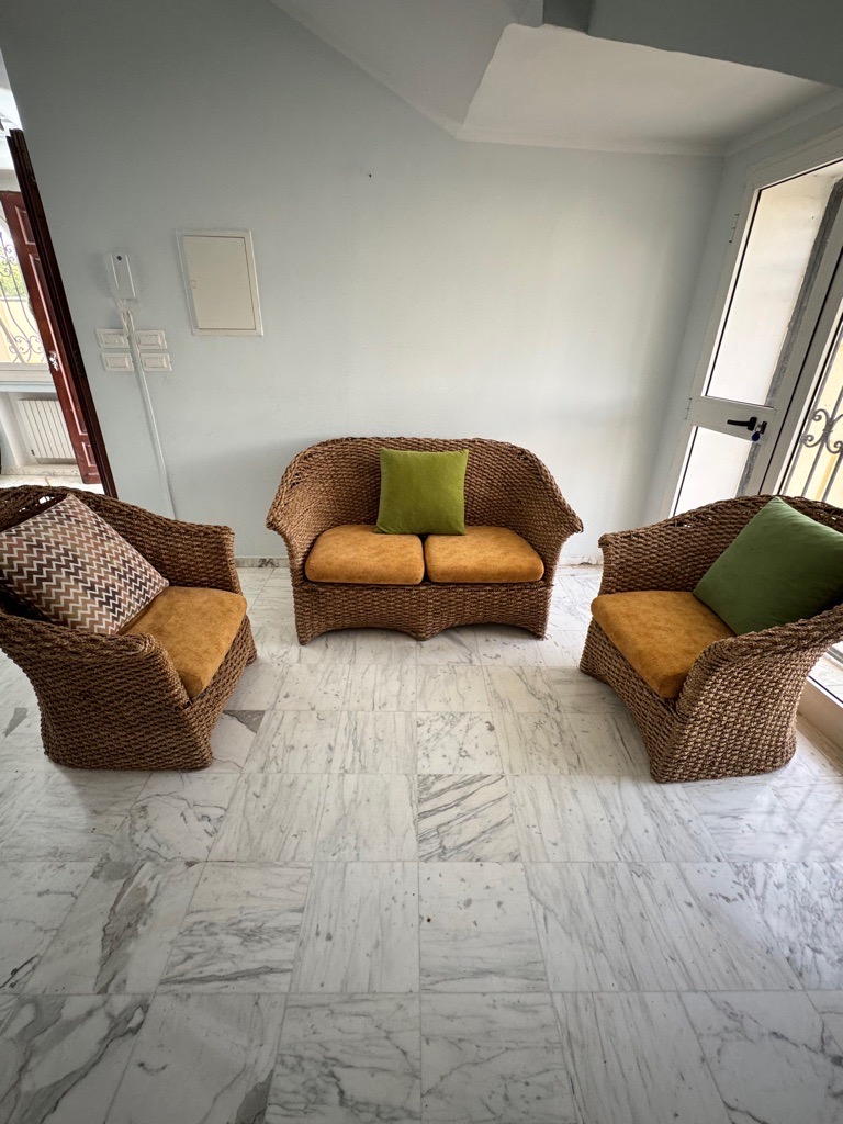 Salon rotin à vendre 