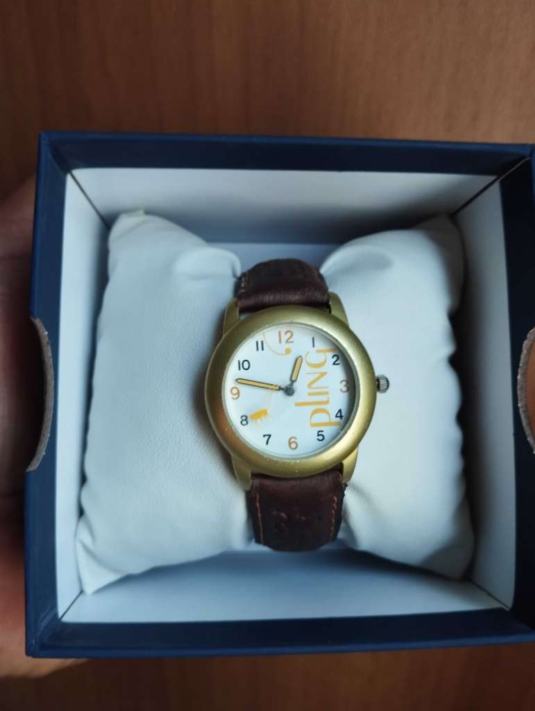 Montre Fashion Design