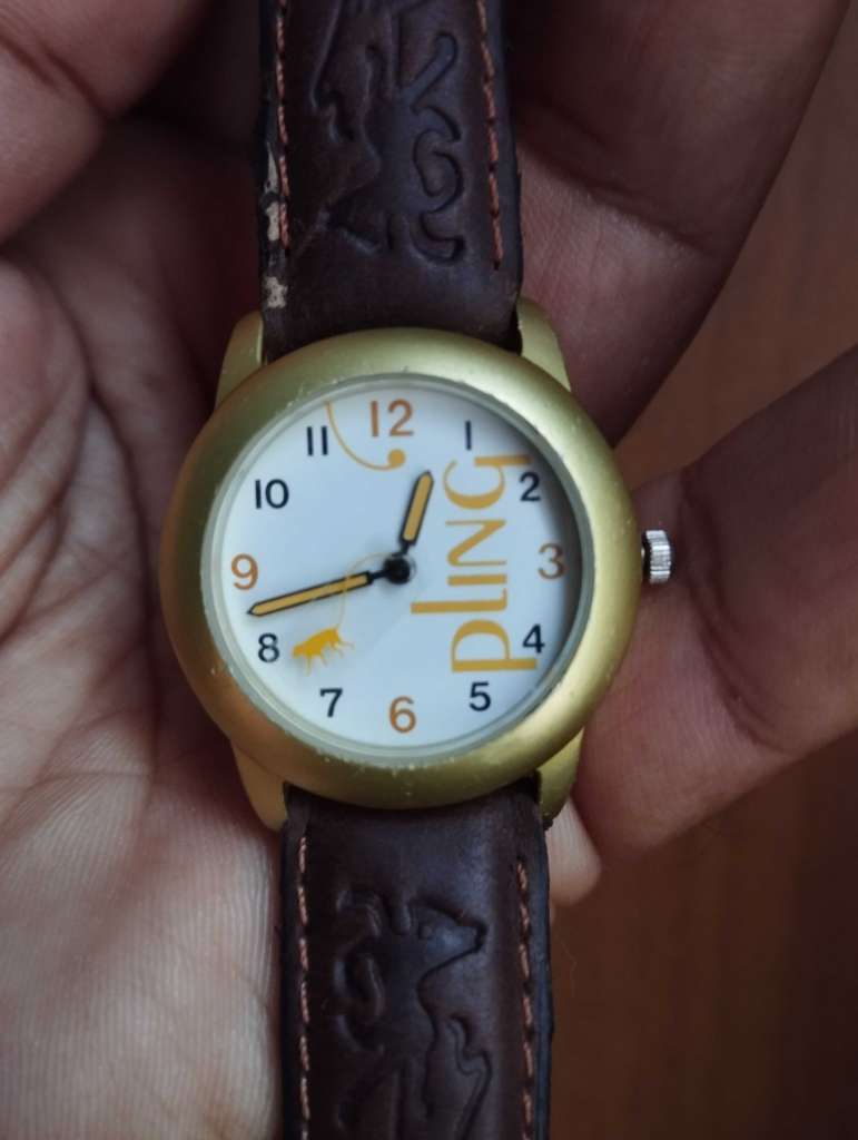 Montre Fashion Design