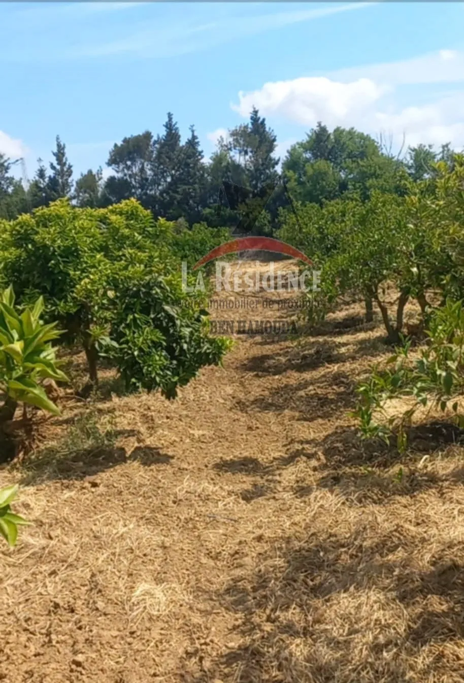 للبيع سانية في مغراوة بنزرت