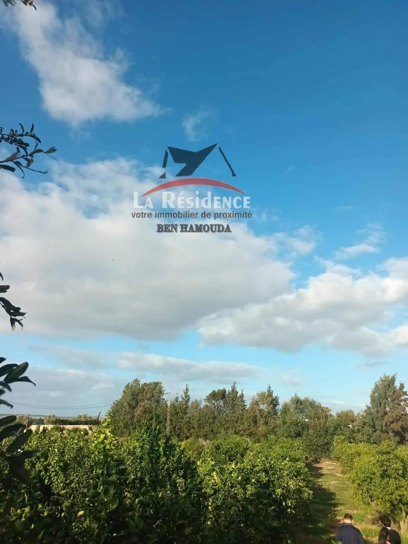 للبيع سانية في مغراوة بنزرت