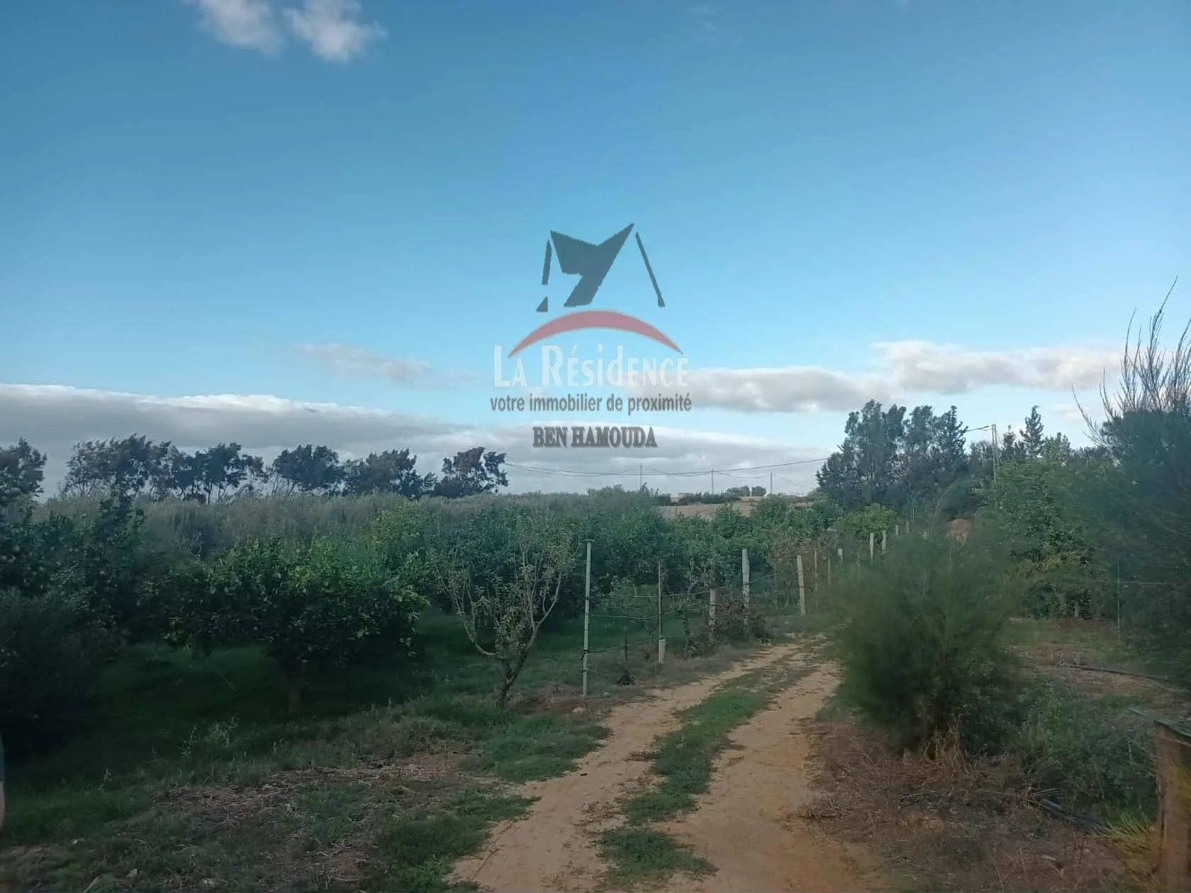 للبيع سانية في مغراوة بنزرت