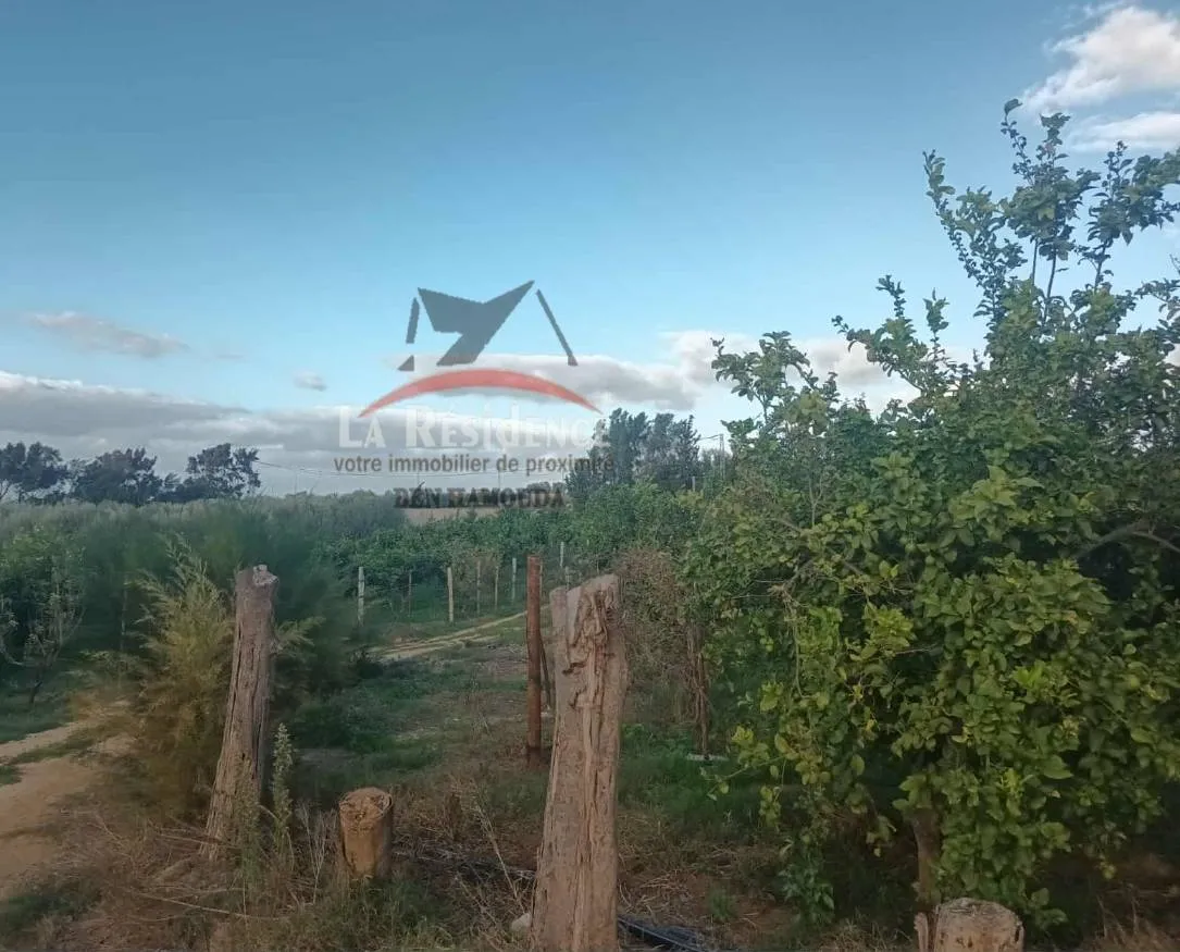 للبيع سانية في مغراوة بنزرت