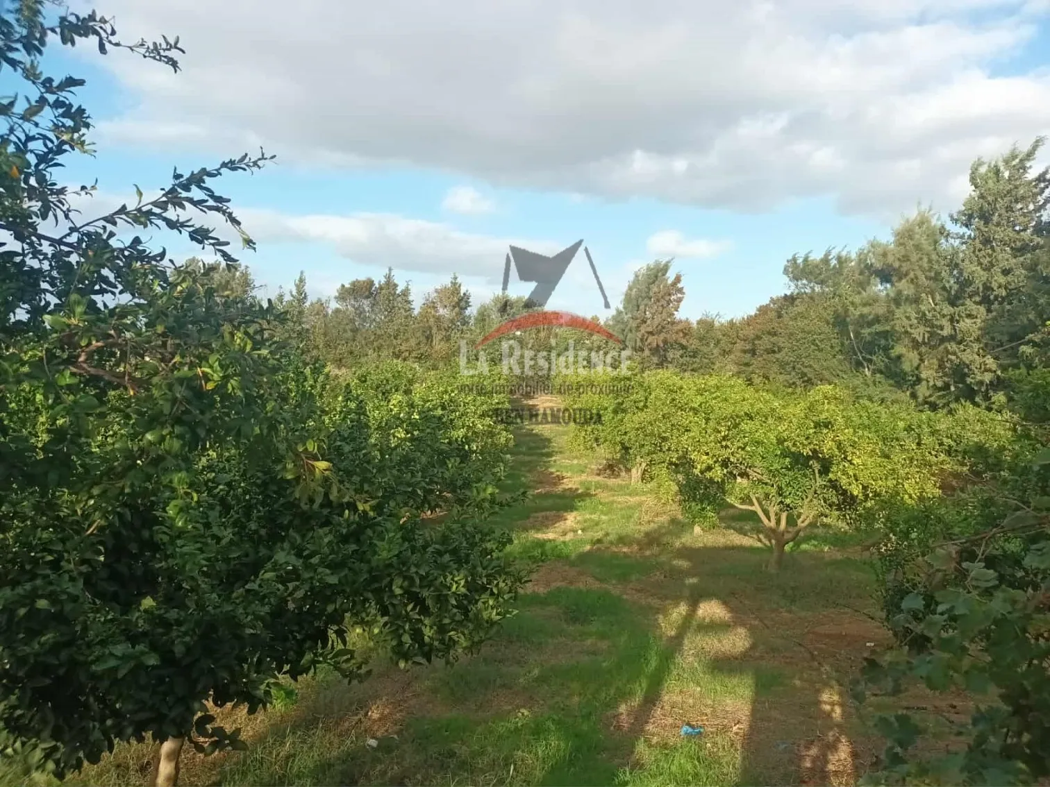 للبيع سانية في مغراوة بنزرت