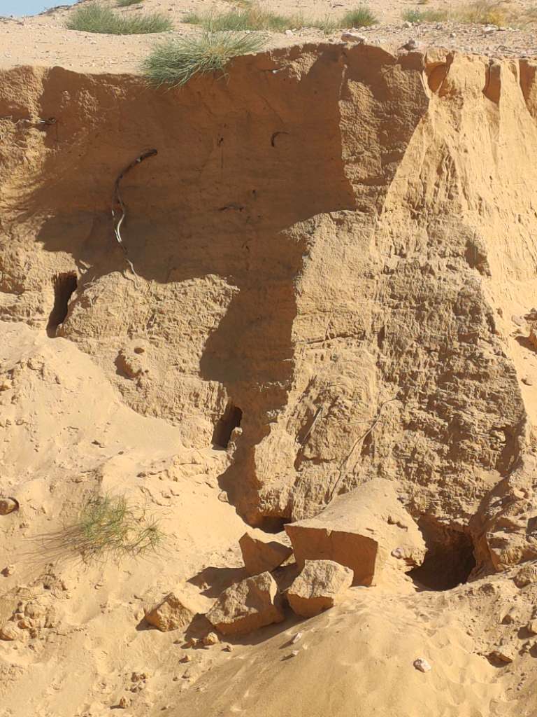 مشروع مقطع رمال