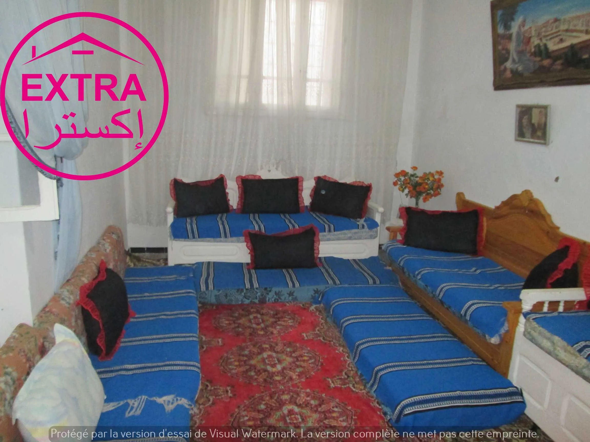 Maison Arabe à Vendre – Dar Chaabane El Fehri (Nabeul)