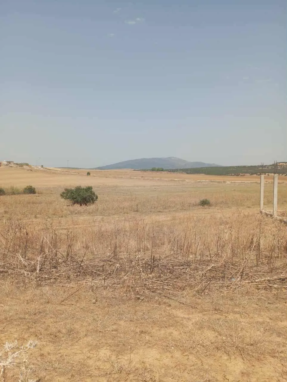 AV terrain de 7 hectares à zaghouan