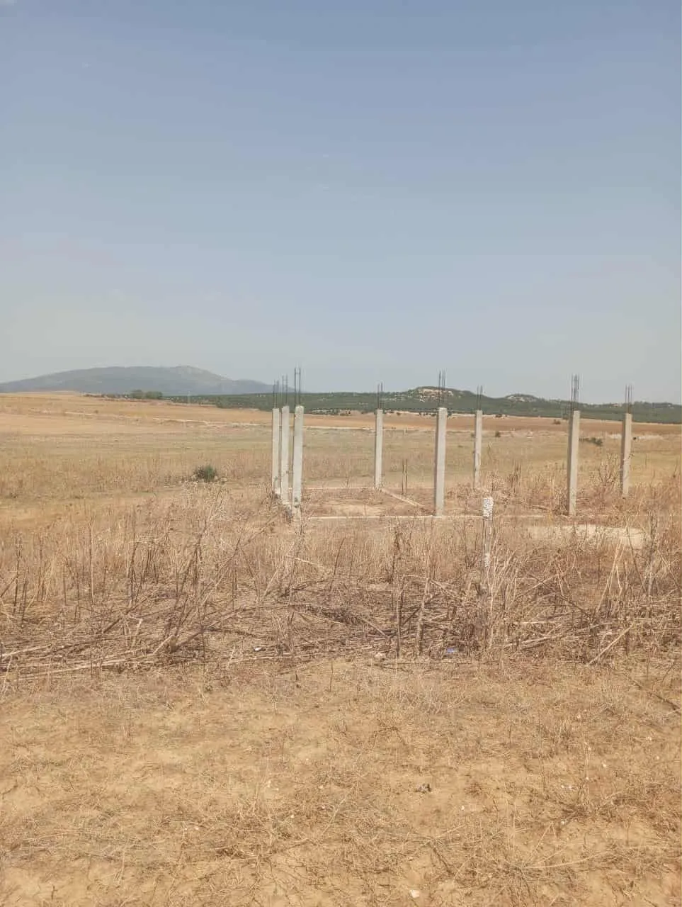AV terrain de 7 hectares à zaghouan