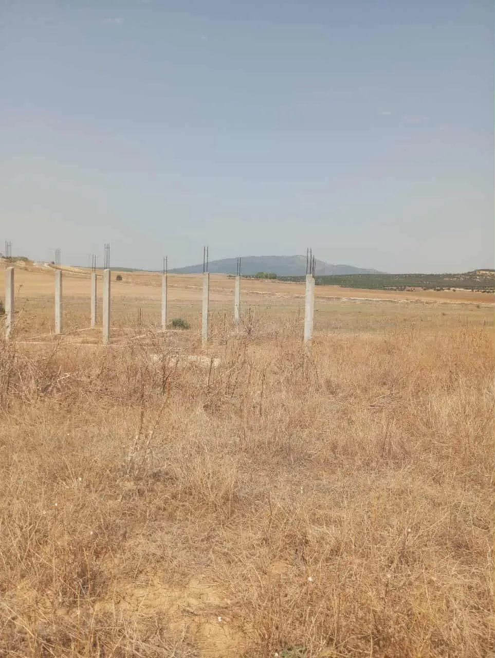 AV terrain de 7 hectares à zaghouan