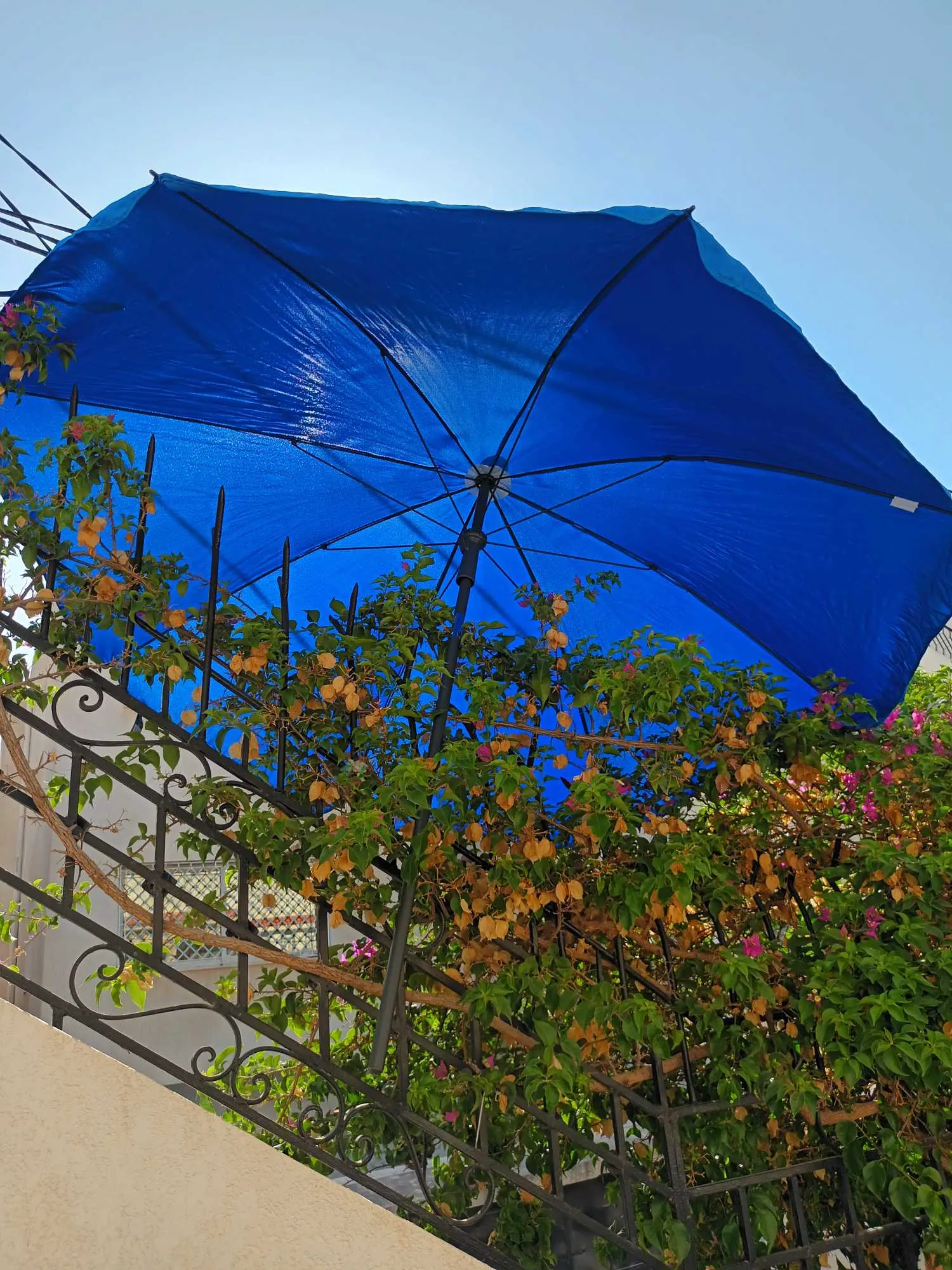 Parasol de plage de France