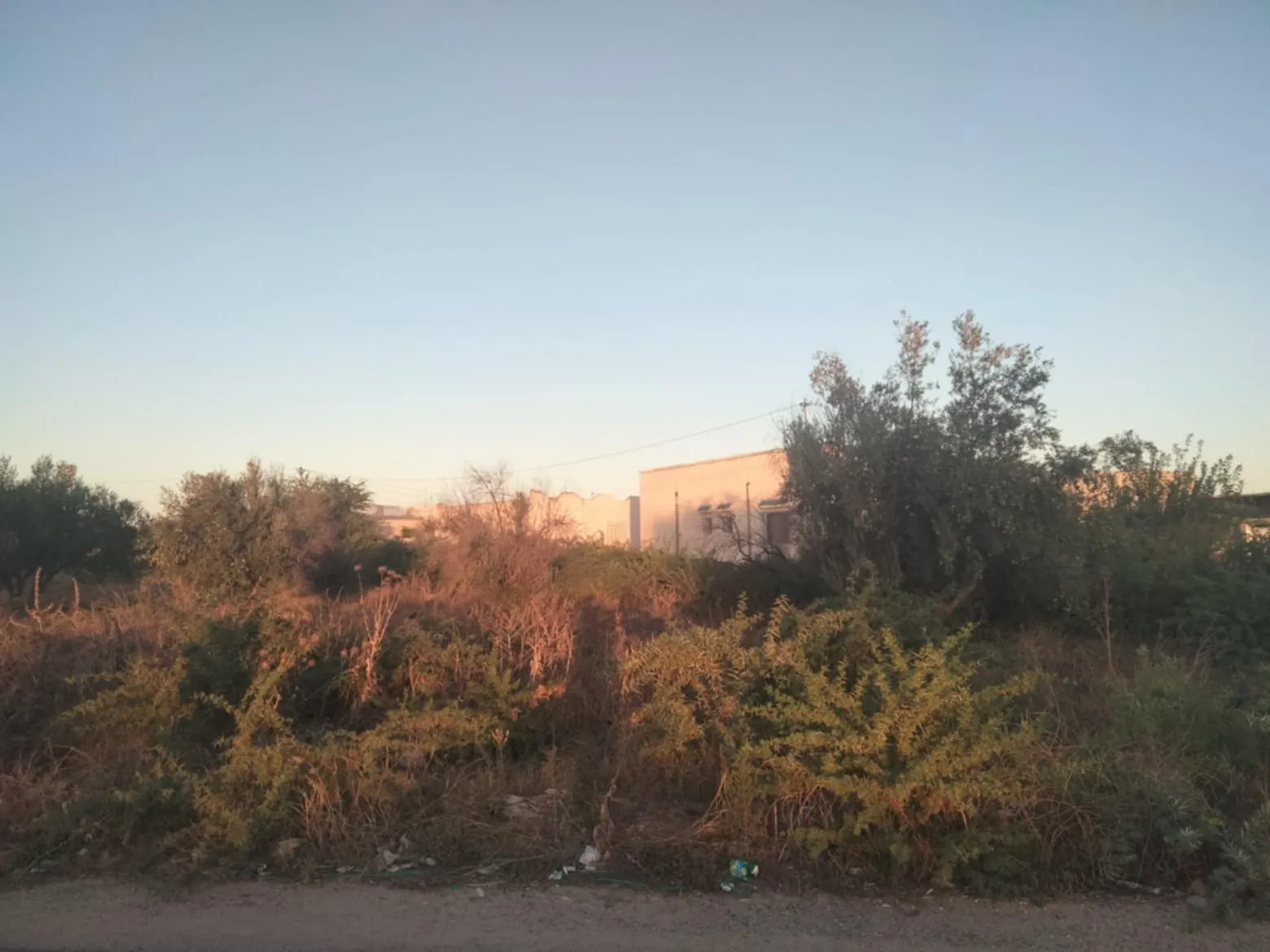 vente terrain premiere position