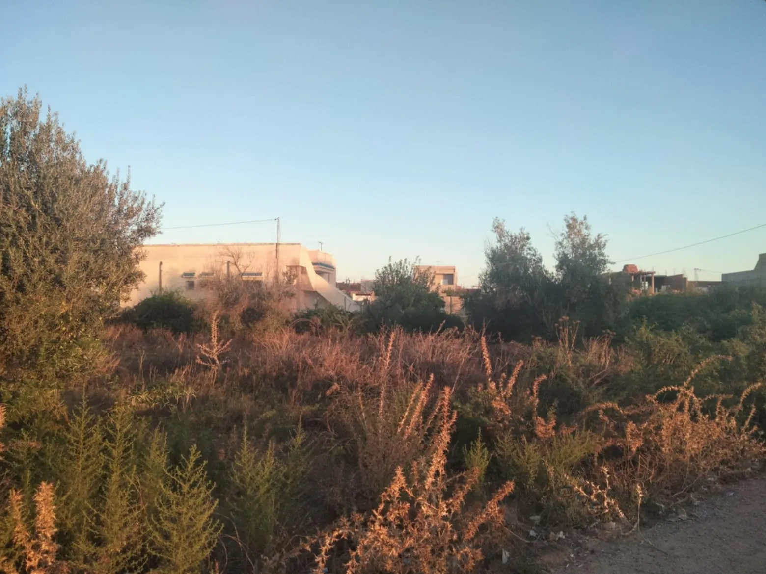 vente terrain premiere position