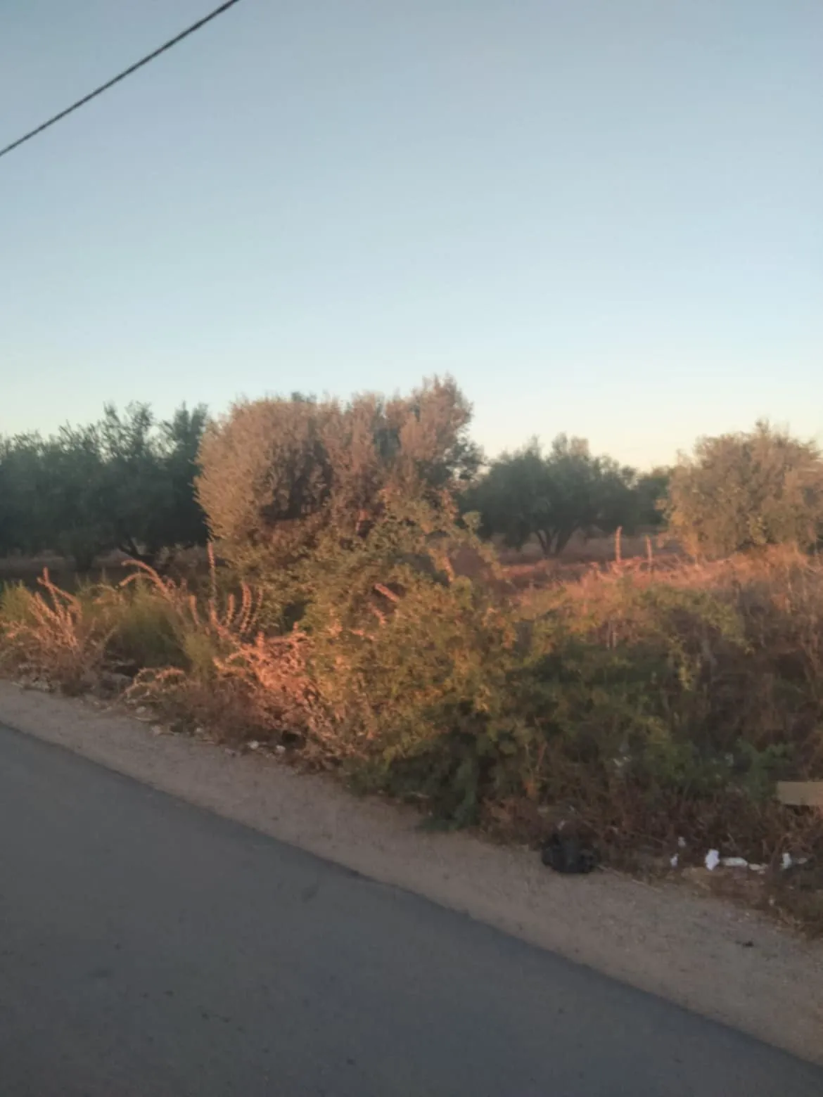 vente terrain premiere position