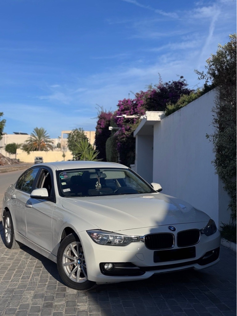 BMW Série 3 F30 316i 2014