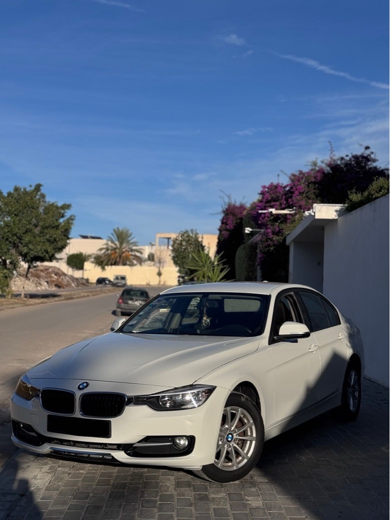 BMW Série 3 F30 316i 2014