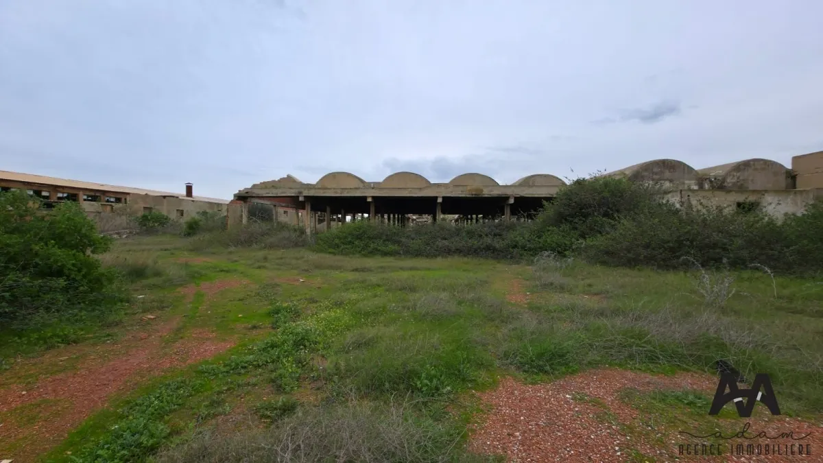 Terrain Industriel – Zone Industrielle de Nabeul