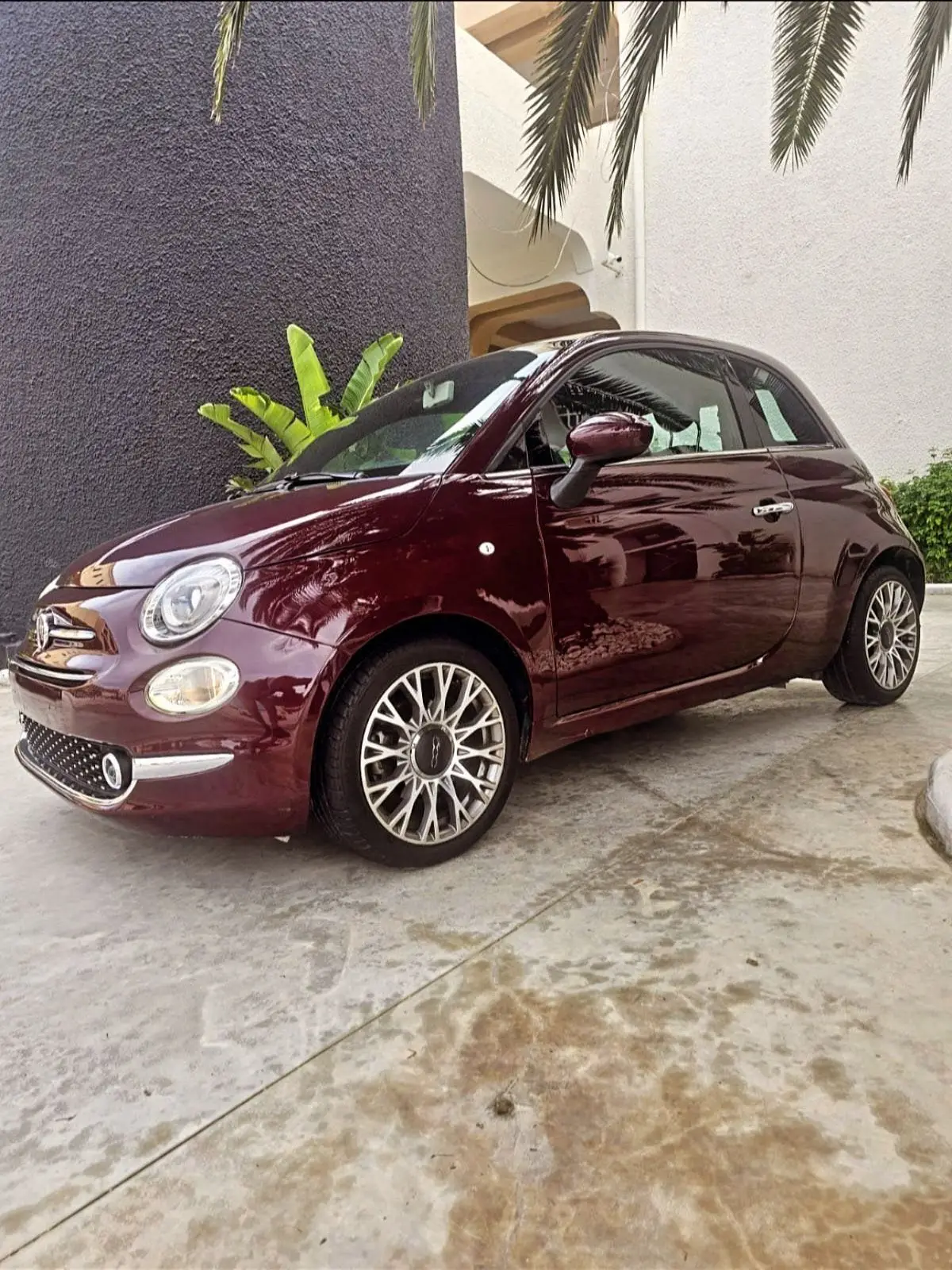 Fiat 500 toutes options 