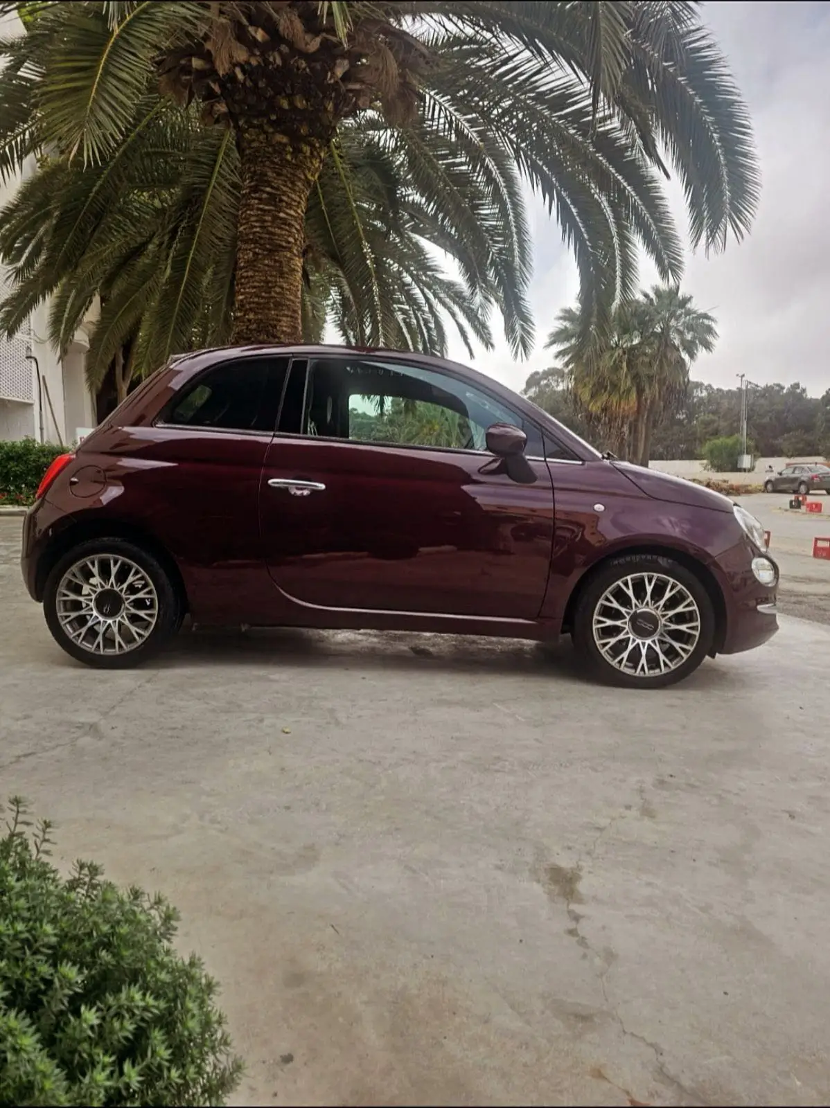 Fiat 500 toutes options 
