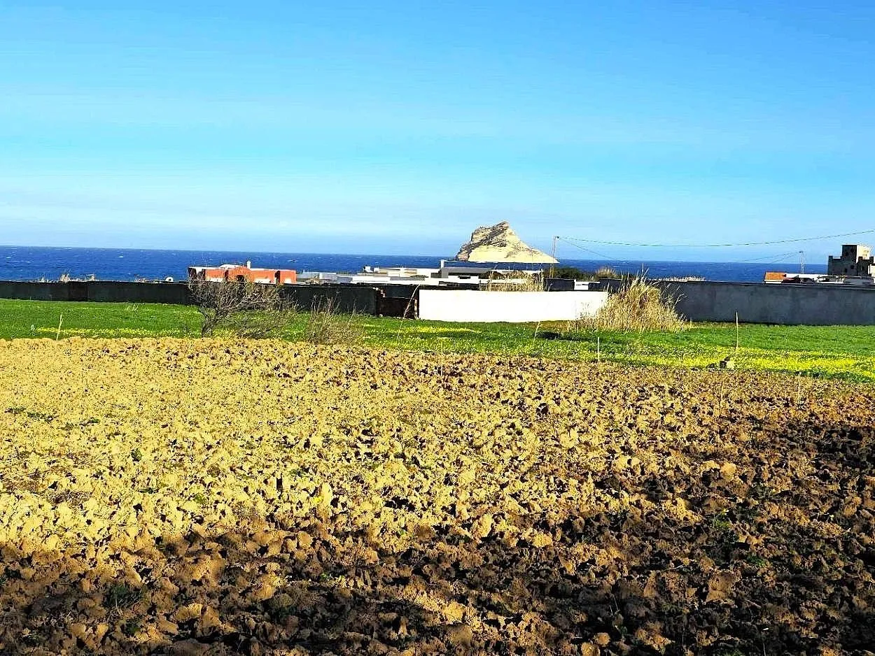 🏖️Terrain 500 m² Rafraf plage – Aïn Mestir 🌊