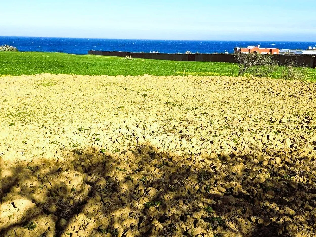 🏖️Terrain 500 m² Rafraf plage – Aïn Mestir 🌊