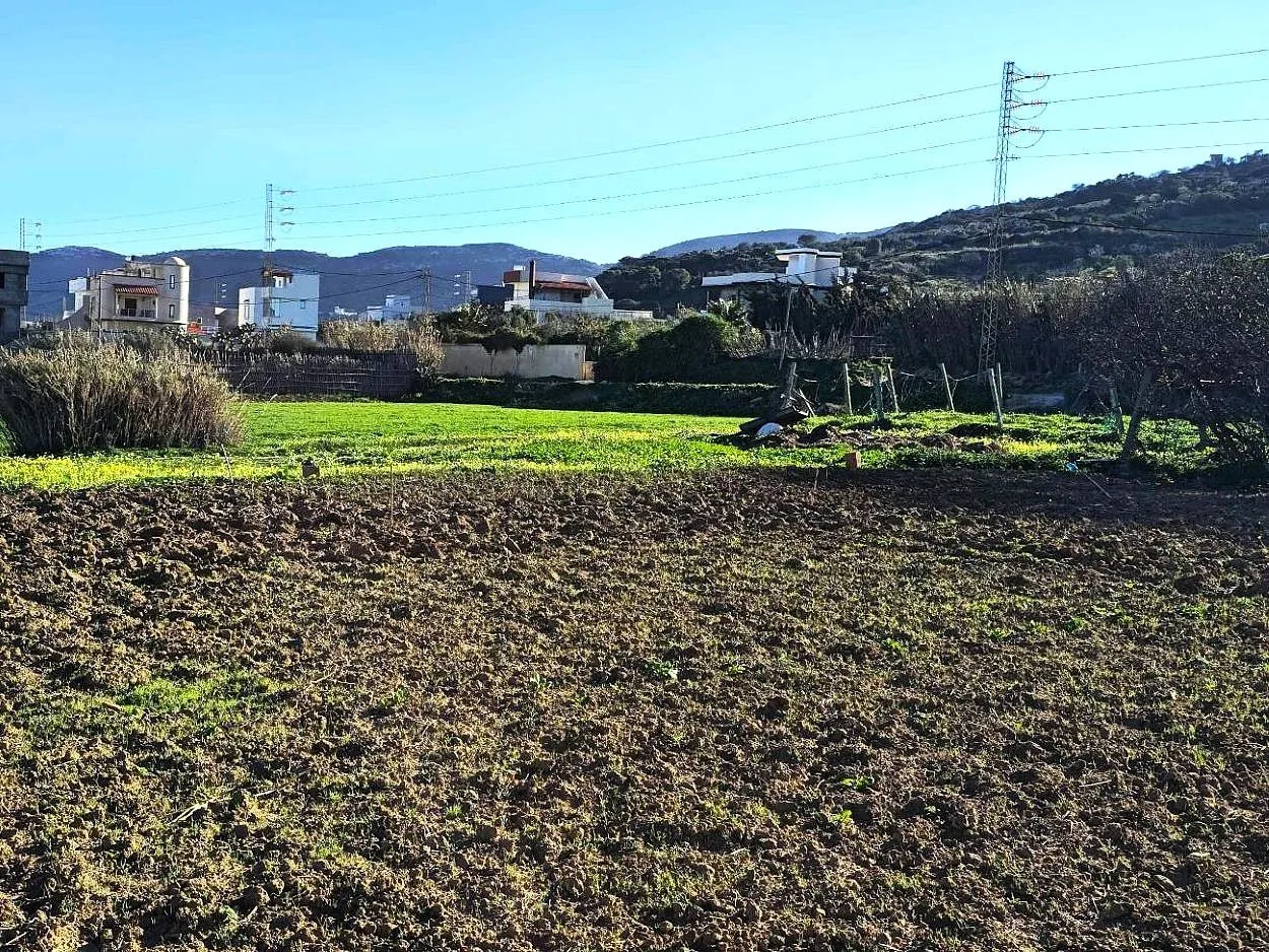 🏖️Terrain 500 m² Rafraf plage – Aïn Mestir 🌊