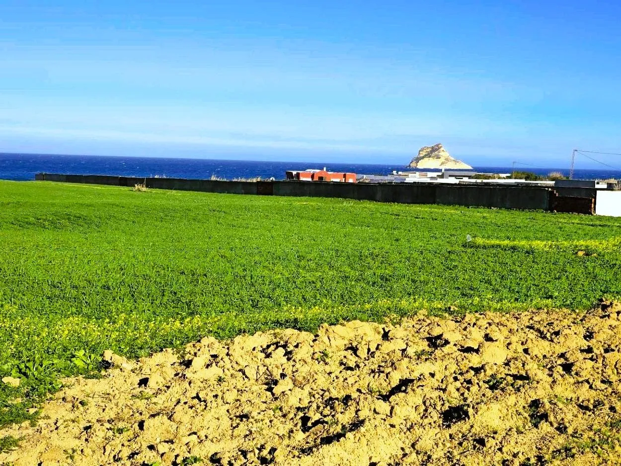 🏖️Terrain 500 m² Rafraf plage – Aïn Mestir 🌊