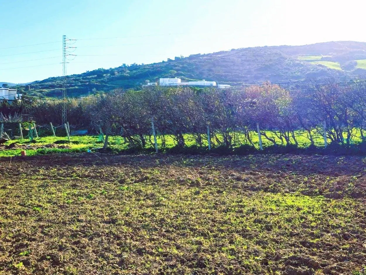 🏖️Terrain 500 m² Rafraf plage – Aïn Mestir 🌊