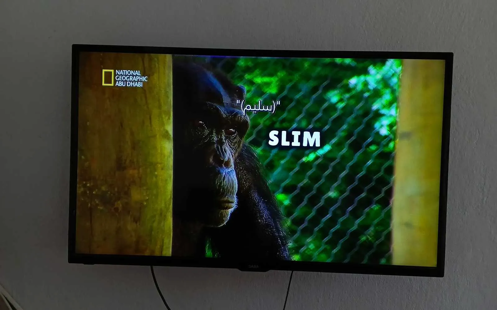 Tv saba 42"