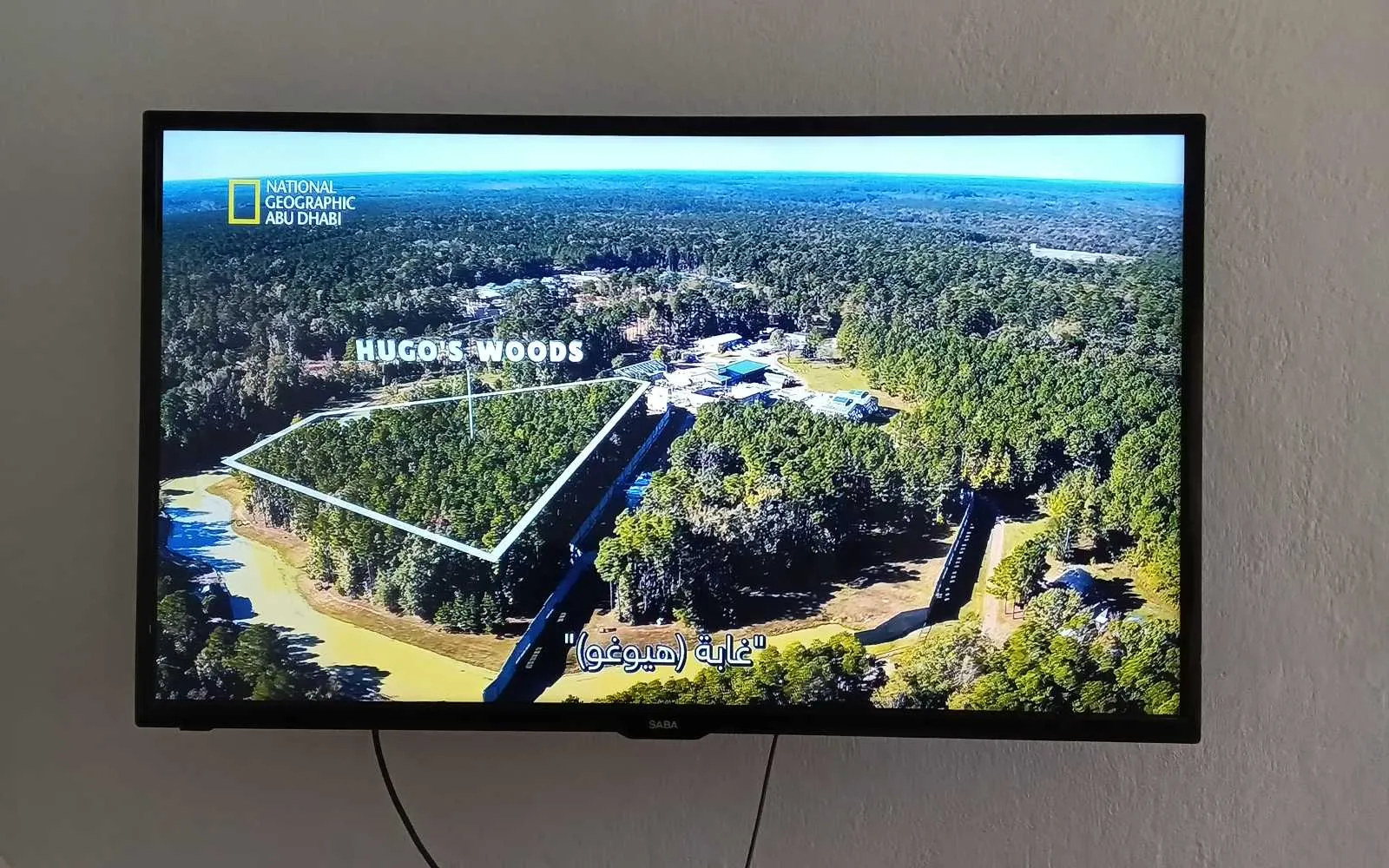 Tv saba 42"