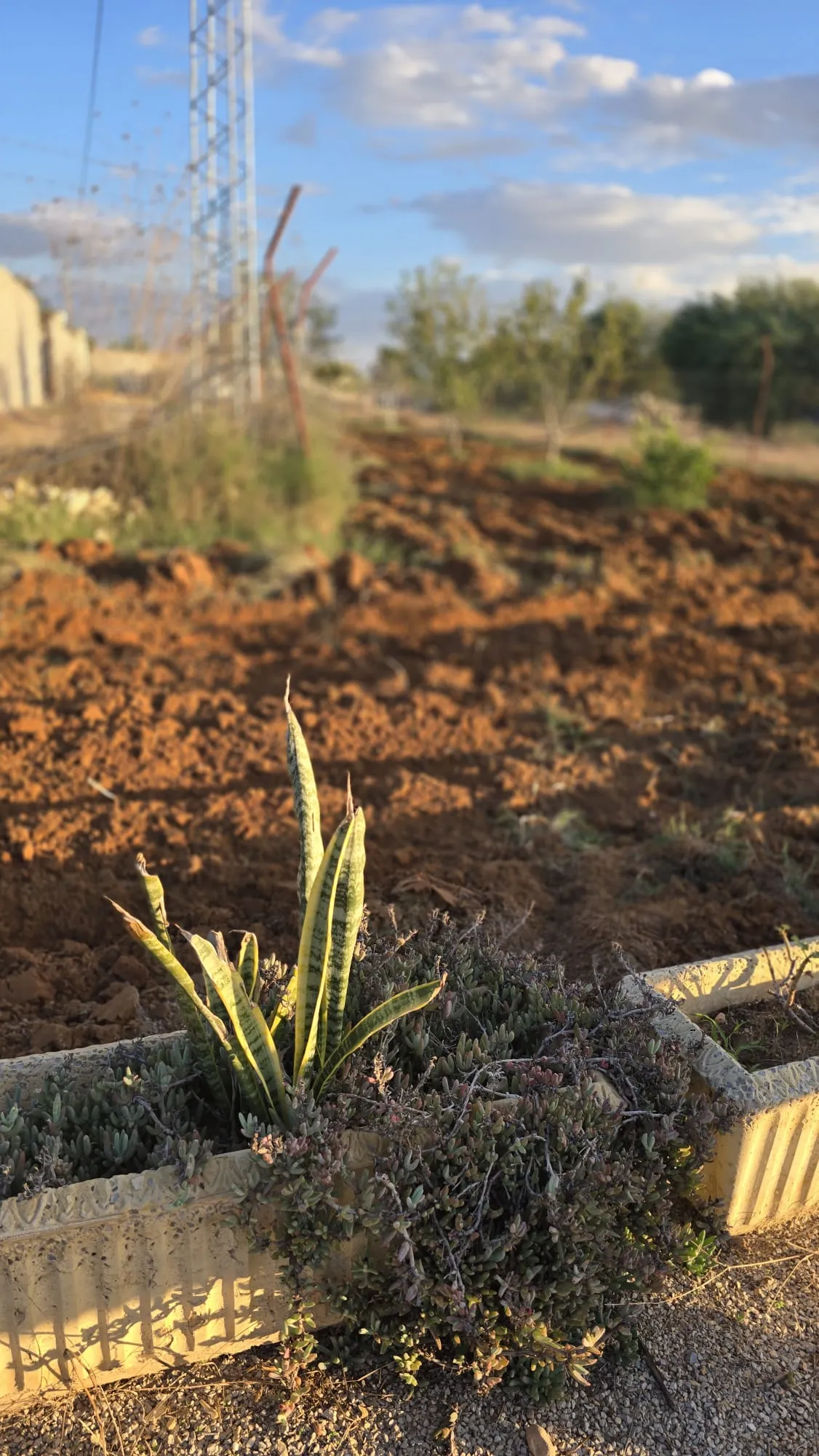 🌳Terrain Agricole Avec Maison Indépendante En Vente | Sidi Bou Ali 