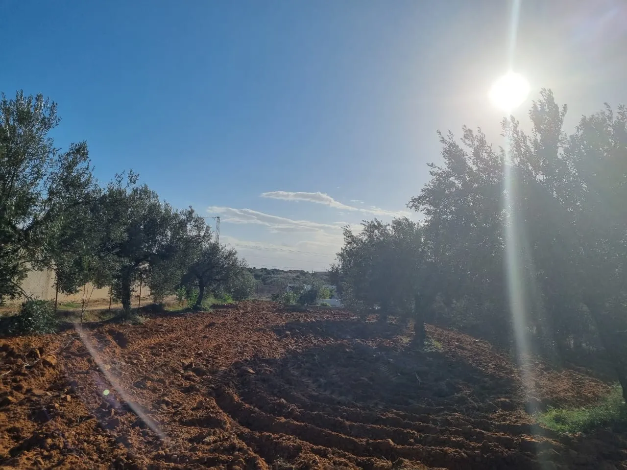 🌳Terrain Agricole Avec Maison Indépendante En Vente | Sidi Bou Ali 