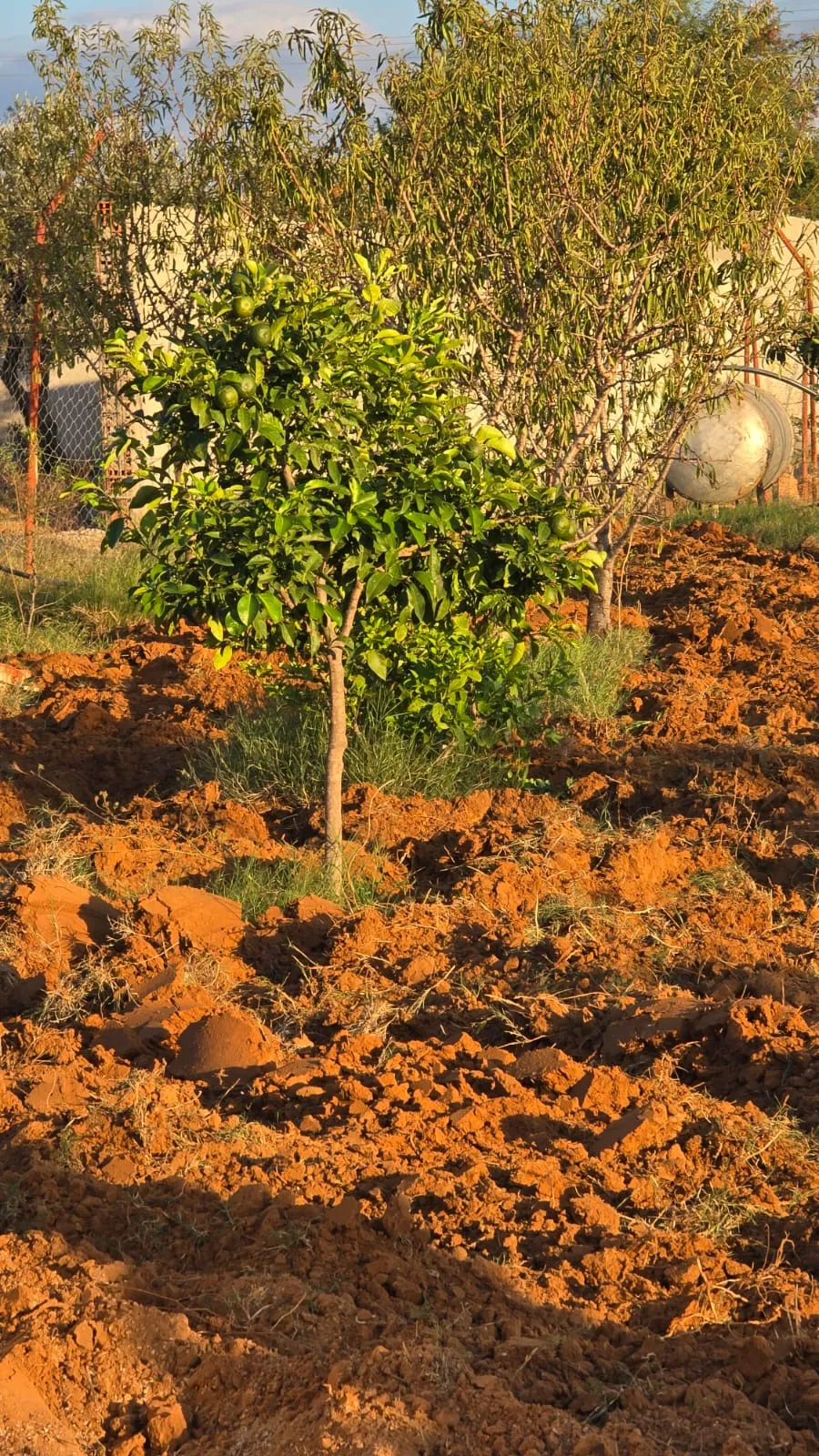 🌳Terrain Agricole Avec Maison Indépendante En Vente | Sidi Bou Ali 