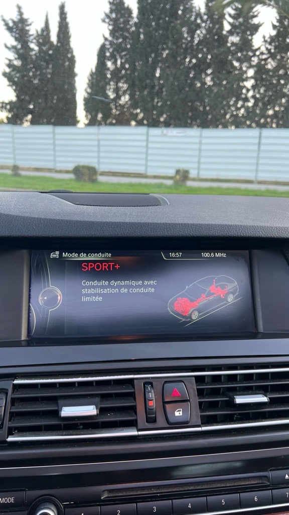 Bmw serie 5 520i f10