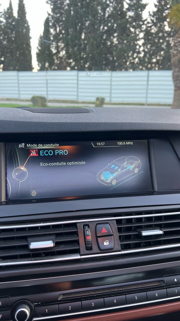 Bmw serie 5 520i f10