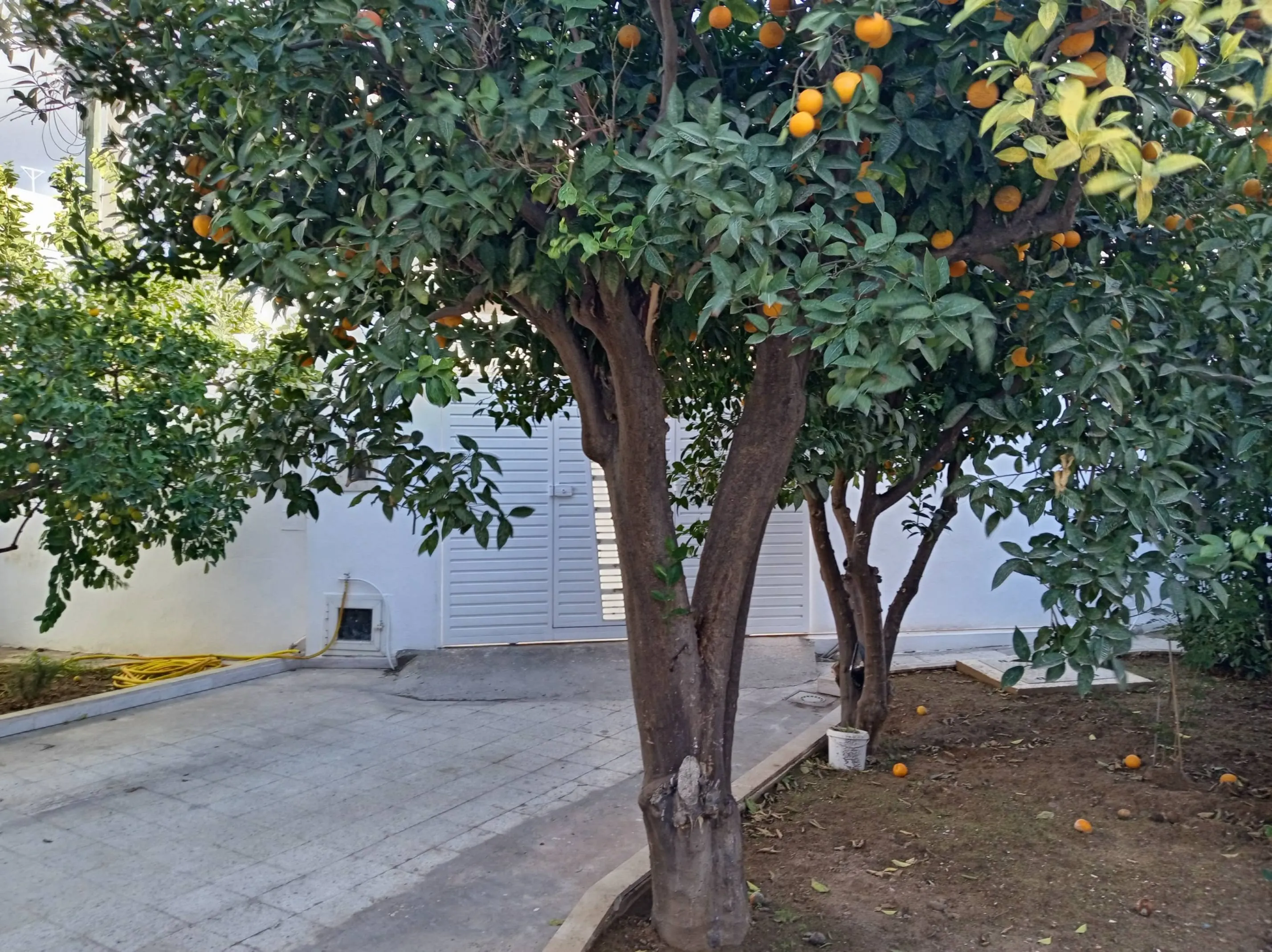 À Louer : Appartement S+1 à Ariana, Cité Ettamir