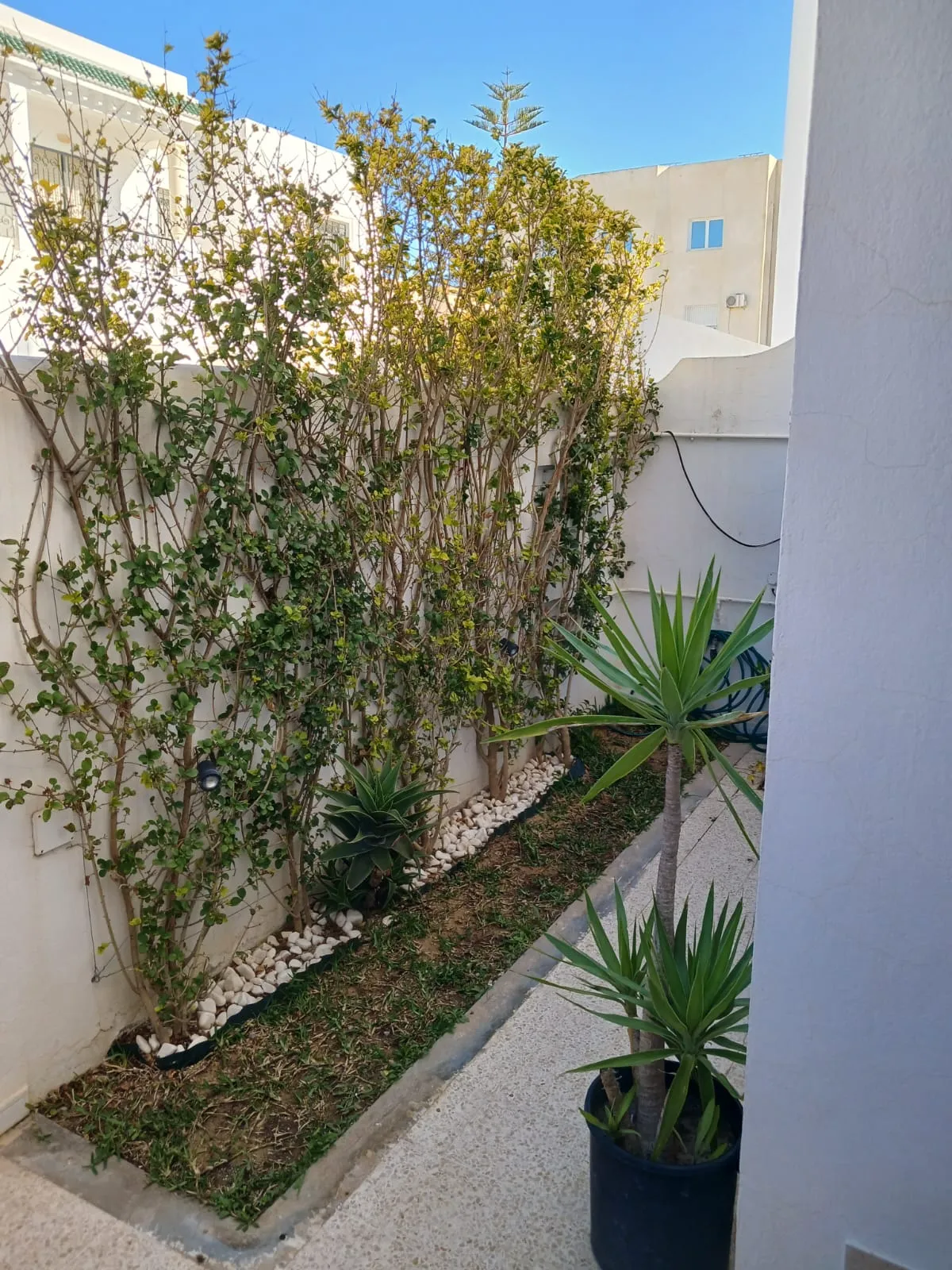 Duplex أريانة الصغرى unique