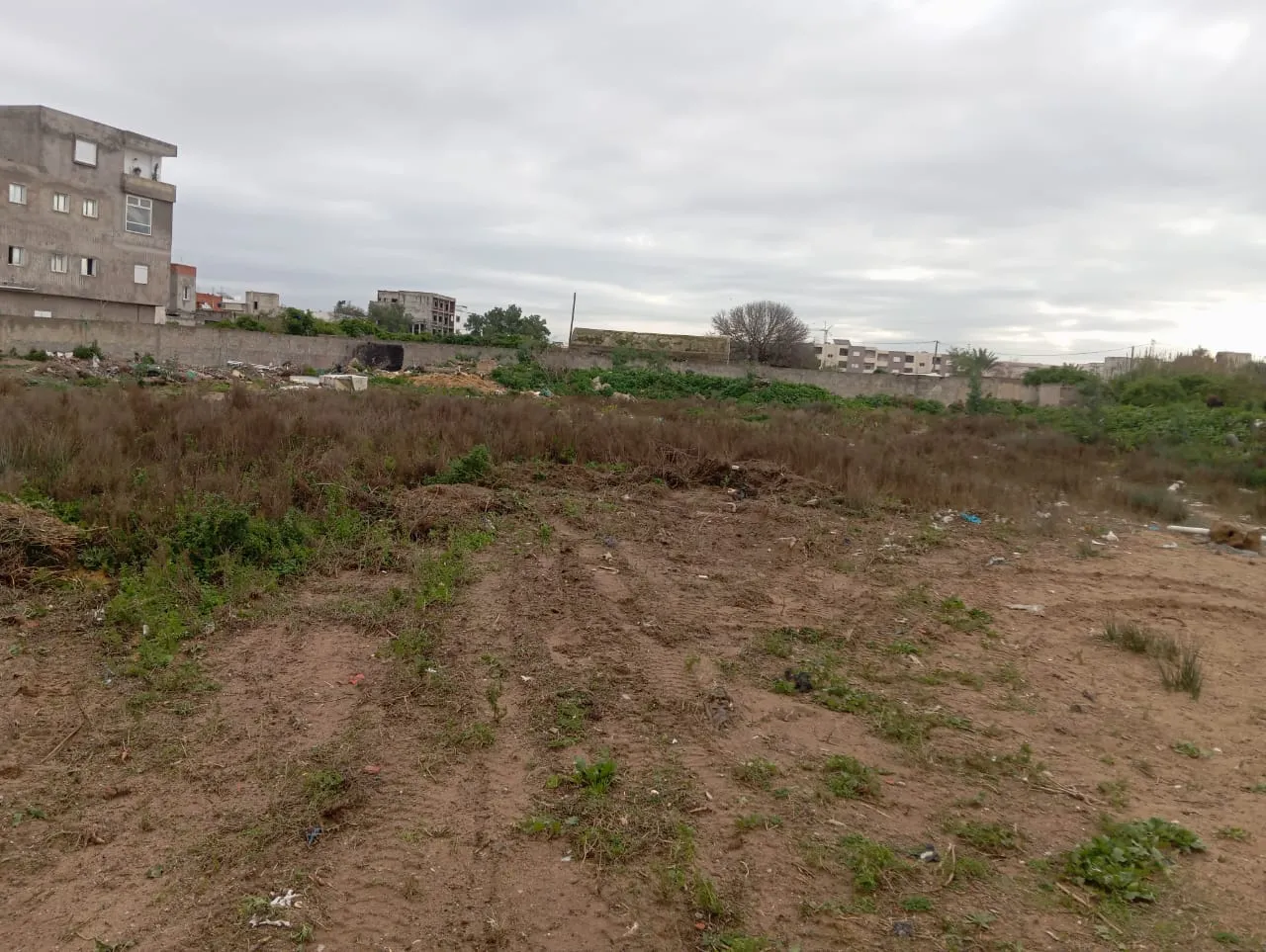 4000 m2 à vendre à la soukra