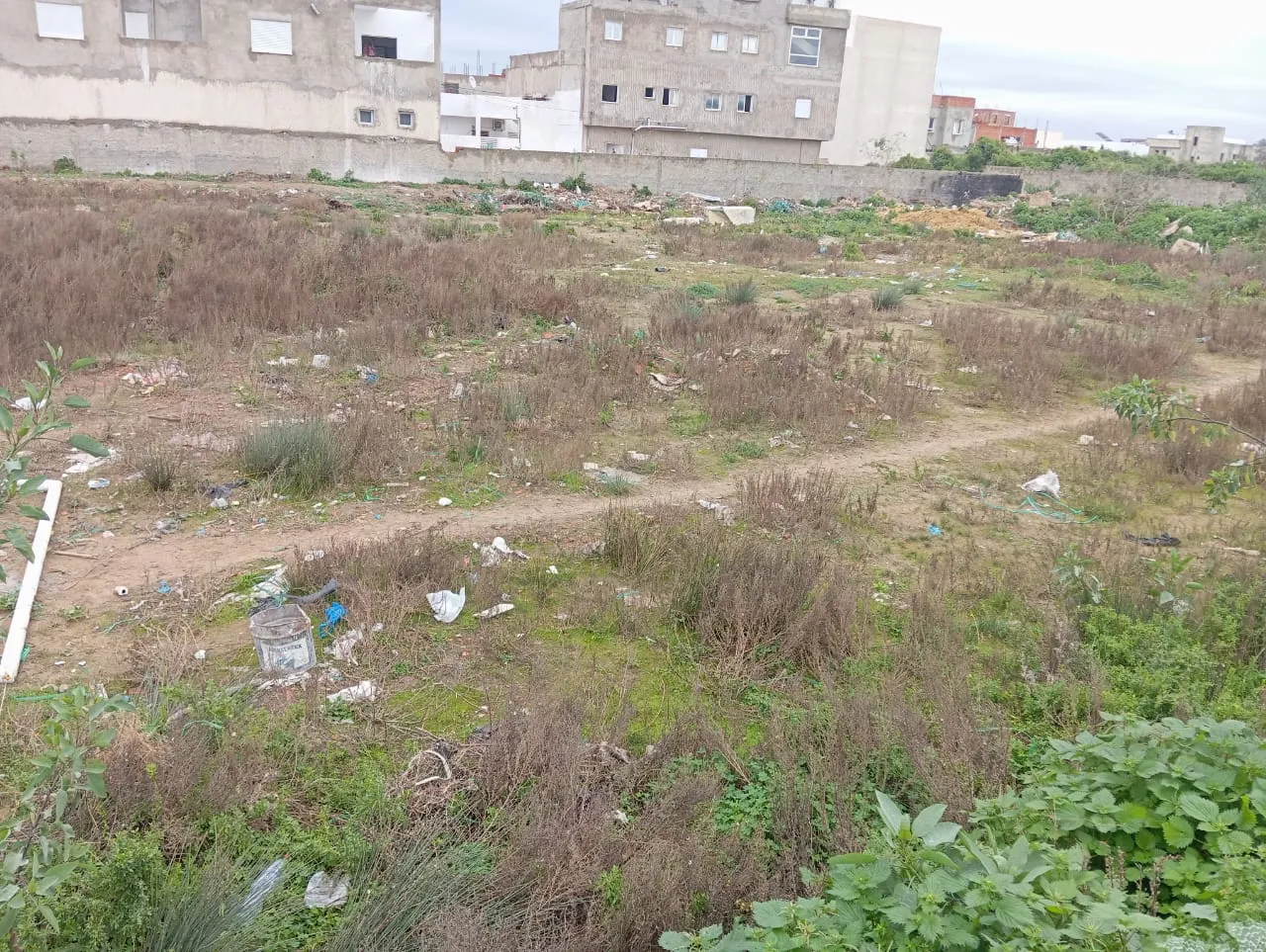 4000 m2 à vendre à la soukra