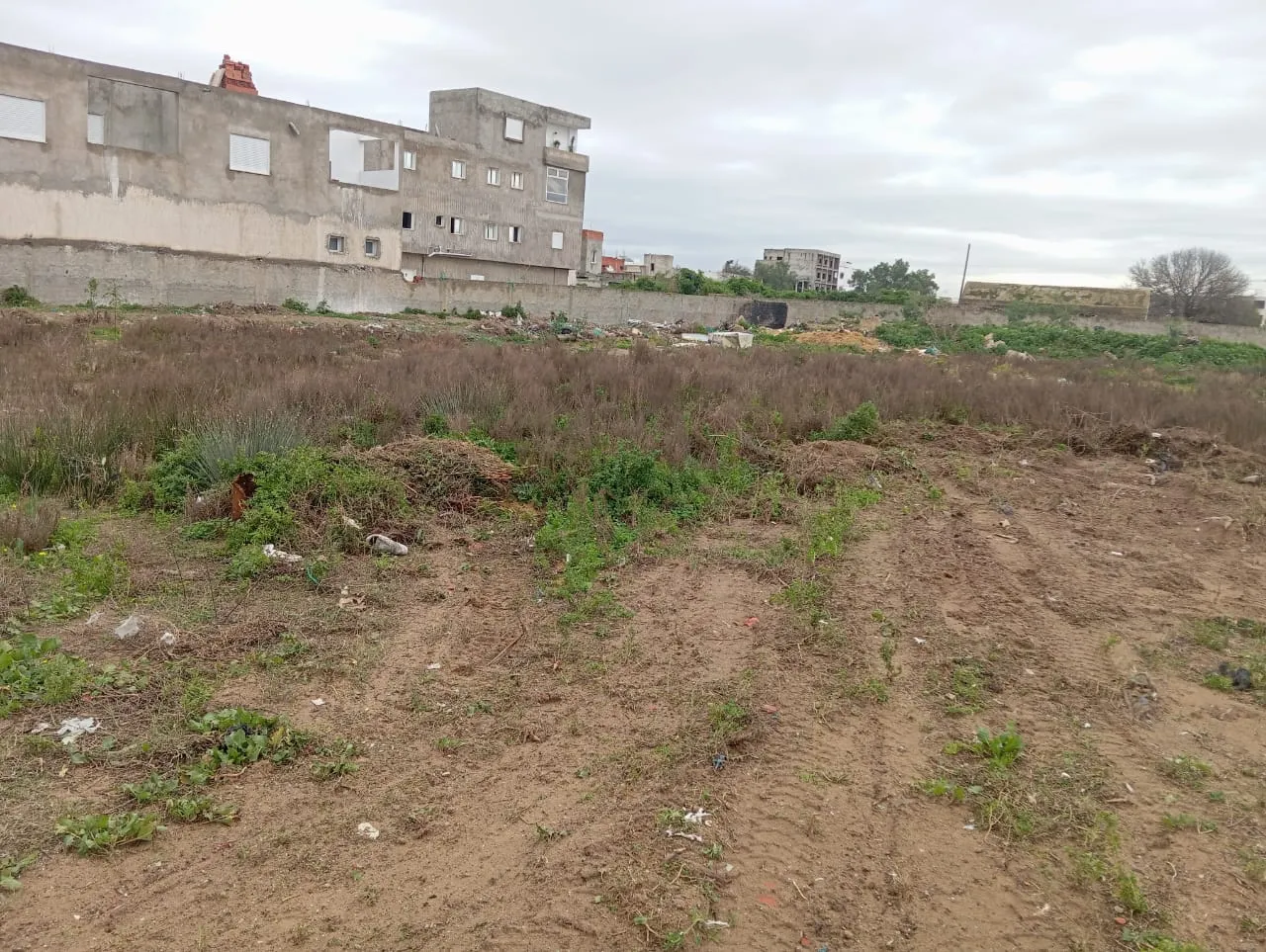 4000 m2 à vendre à la soukra