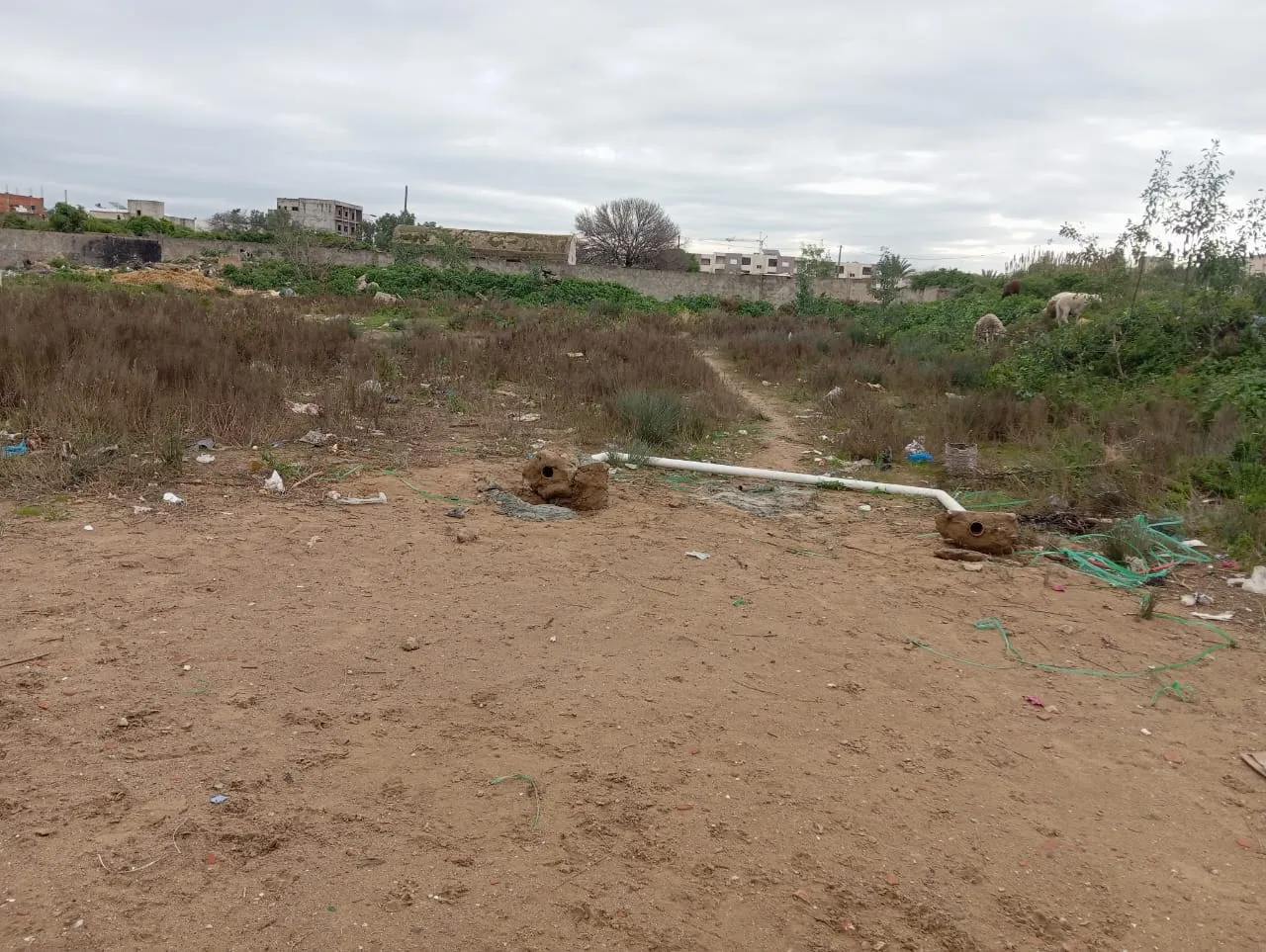 4000 m2 à vendre à la soukra