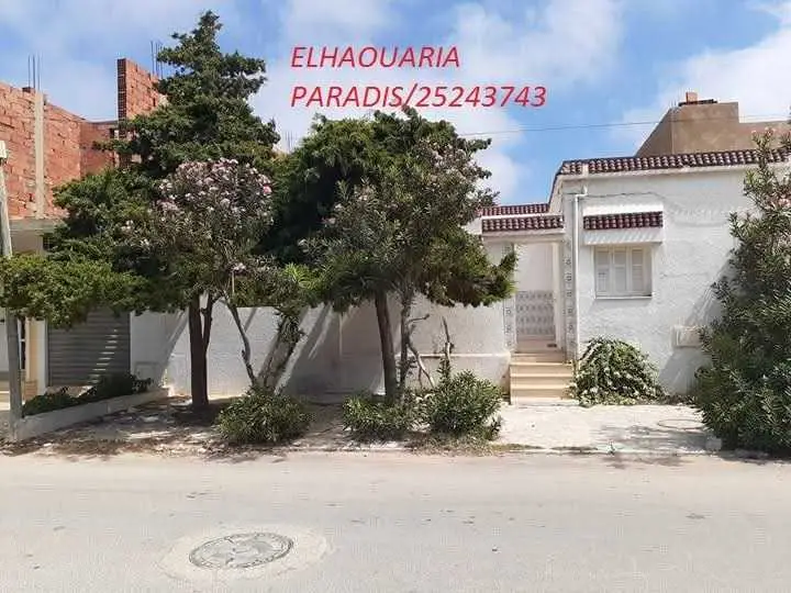 A vendre au centre ville elhaouaria