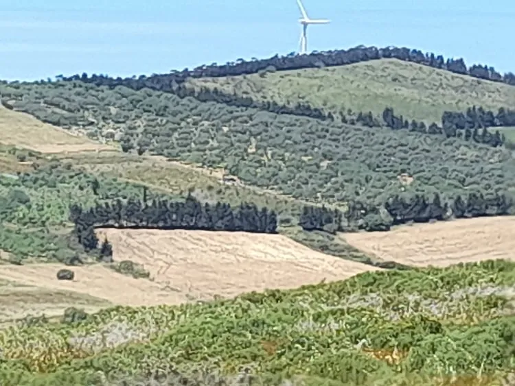 Terrain de 1930m² à vendre à ghar el melh 